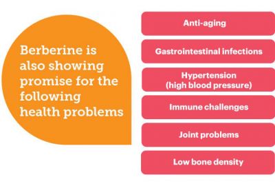 Top 7 lợi ích vàng cho sức khoẻ của Berberine